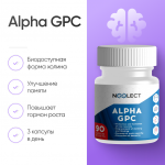 Alpha GPC 90 капсул фото 1 уменьшенное