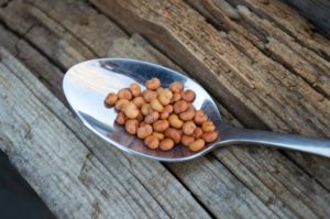 Экстракт лимонника  (Схизандрины 2%) 50 грамм фото