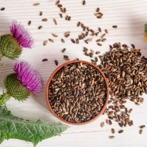 Расторопша семена (силимарин 80%) 50 грамм фото