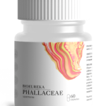 Веселка сушёная 60 шт – общеукрепляющее средство фото 1 уменьшенное