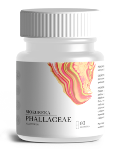 Веселка сушёная 60 шт – общеукрепляющее средство фото