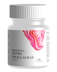 Экстракт Веселки 50% 60 капсул – общеукрепляющее средство фото