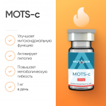 MOTS-c фото 1 уменьшенное