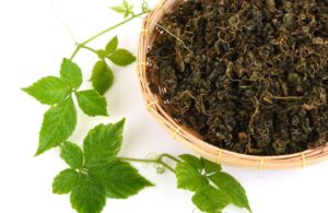 Гиностемма трава 5:1 50гр фото