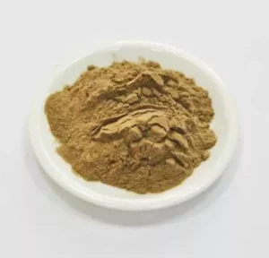 Коготь дьявола/мартиния душистая (харпагозиды 1.9%) 50гр фото