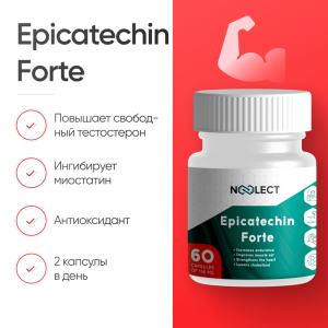 Epicatechin Forte 60 капсул фото