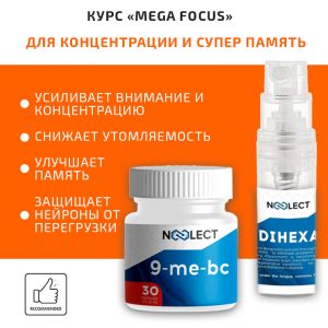 Курс для концентрации и быстрого запоминания информации фото